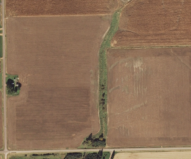 Overhead image of a filter strip, a green grass strip between several crop fields