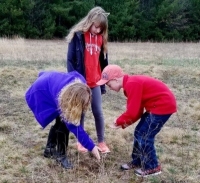 Kids examining plants in a field