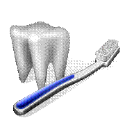 Tooth and Toothbrush