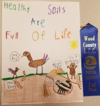 Poster: Healthy Soils are Full of Life